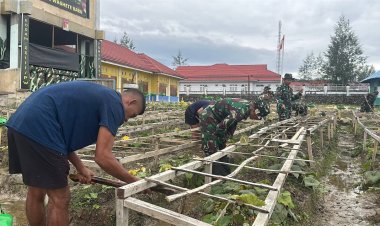 Satgas Yonif 711/Raksatama Ciptakan Oase Hijau di Distrik Tigi